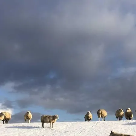 Tief 10 Seebär 1004 *