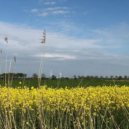 Tief 10 Seebaer 1004 *