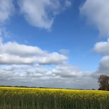 公寓 Tief 10 Seebaer 1004