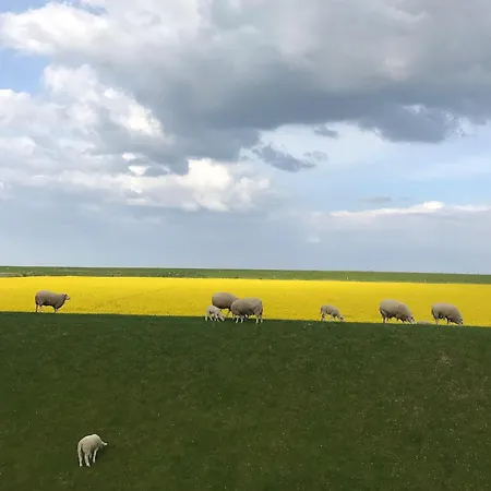 Tief 10 Seebaer 1004 公寓 西里格