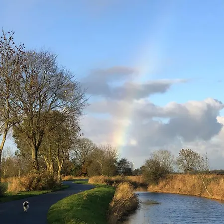 Tief 10 Seebaer 1004 *