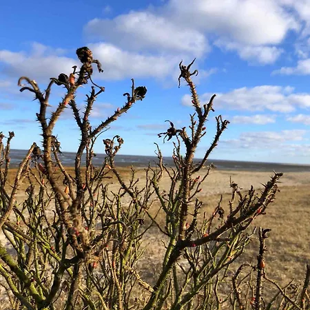 Tief 10 Seebaer 1004 *