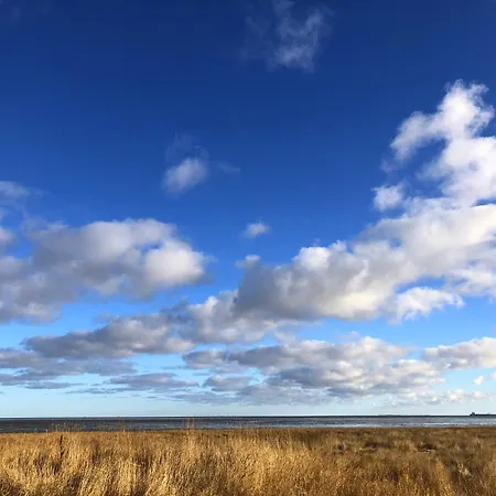 Tief 10 Seebaer 1004 西里格