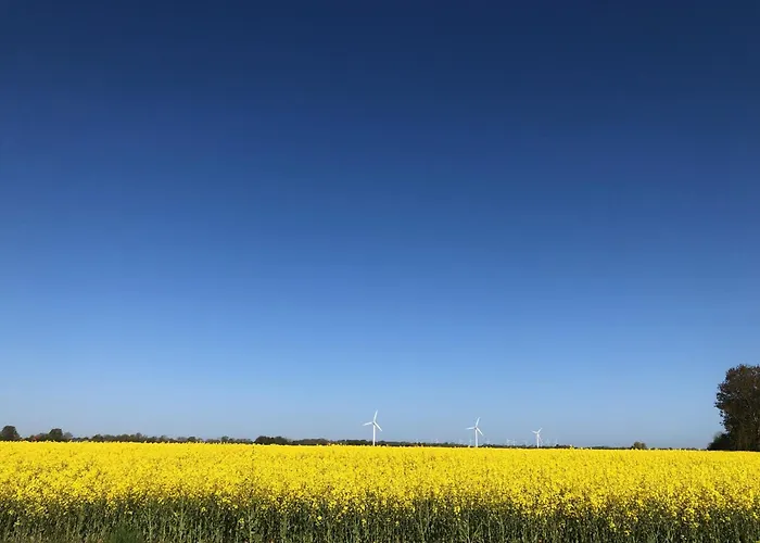 Apartman Tief 10 Seebaer 1004 *