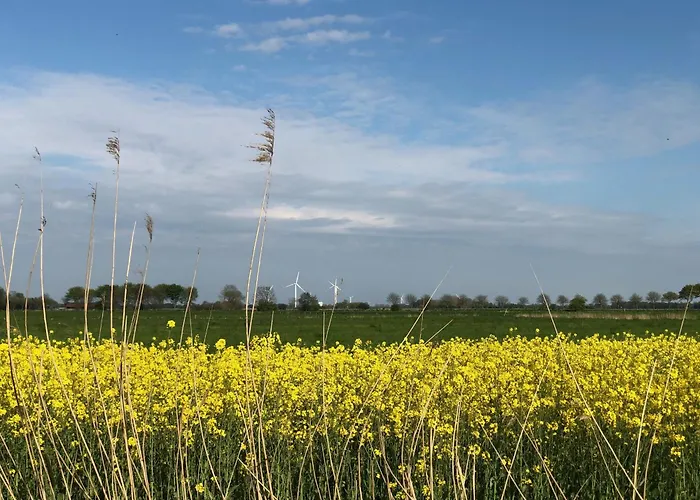 Tief 10 Seebaer 1004 *