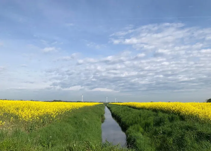 Apartman Tief 10 Seebaer 1004 Schillig