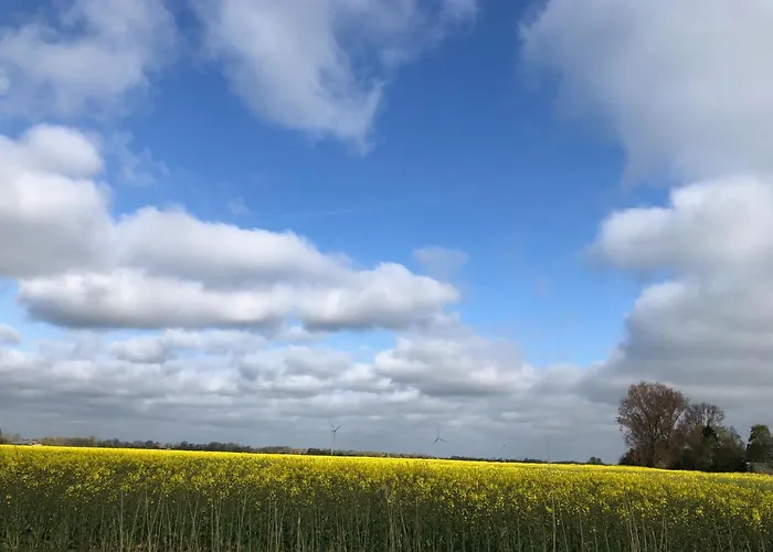 Apartman Tief 10 Seebaer 1004