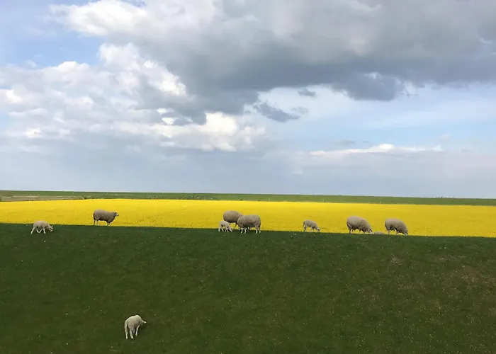 Tief 10 Seebaer 1004 Apartman Schillig