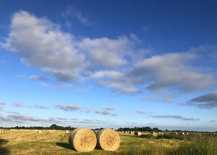 Tief 10 Seebaer 1004 Apartman