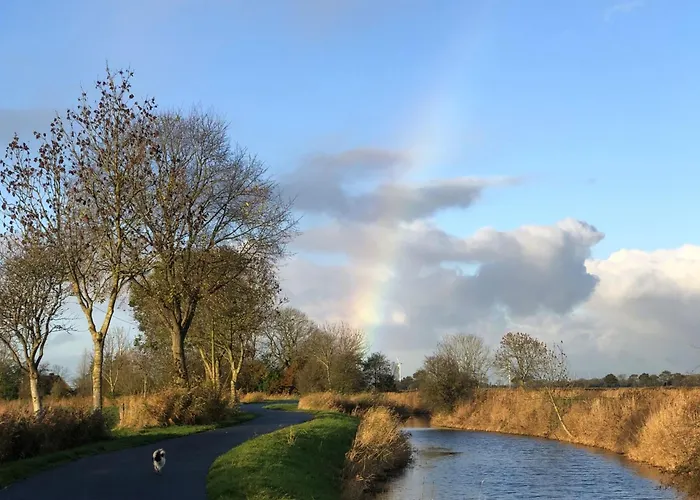 Tief 10 Seebaer 1004 *