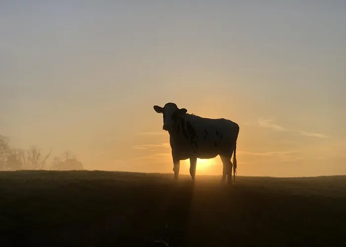 Tief 10 Seebaer 1004 * Schillig