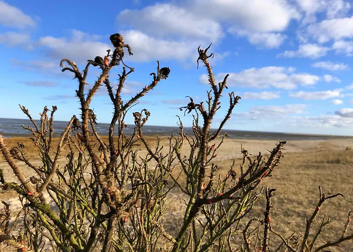 Tief 10 Seebaer 1004 *