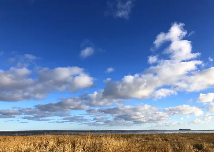 Tief 10 Seebaer 1004 Schillig